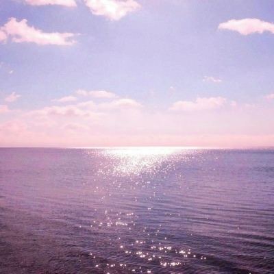 博鱼综合体育官网登录