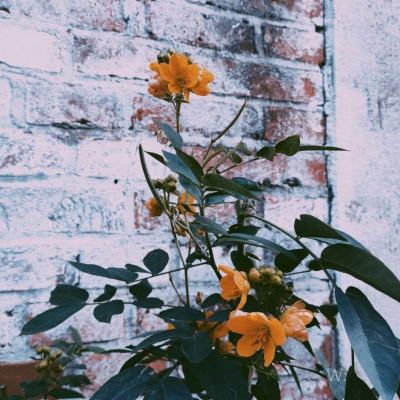 江南JN体育登录入口